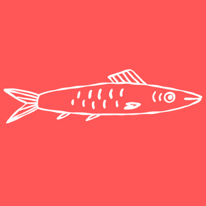 Experiences Delivered